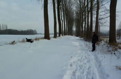 Winterwandeling met opwarmstops